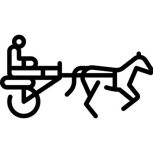 Garii